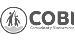 COBI