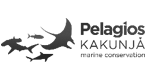 Pelagios
