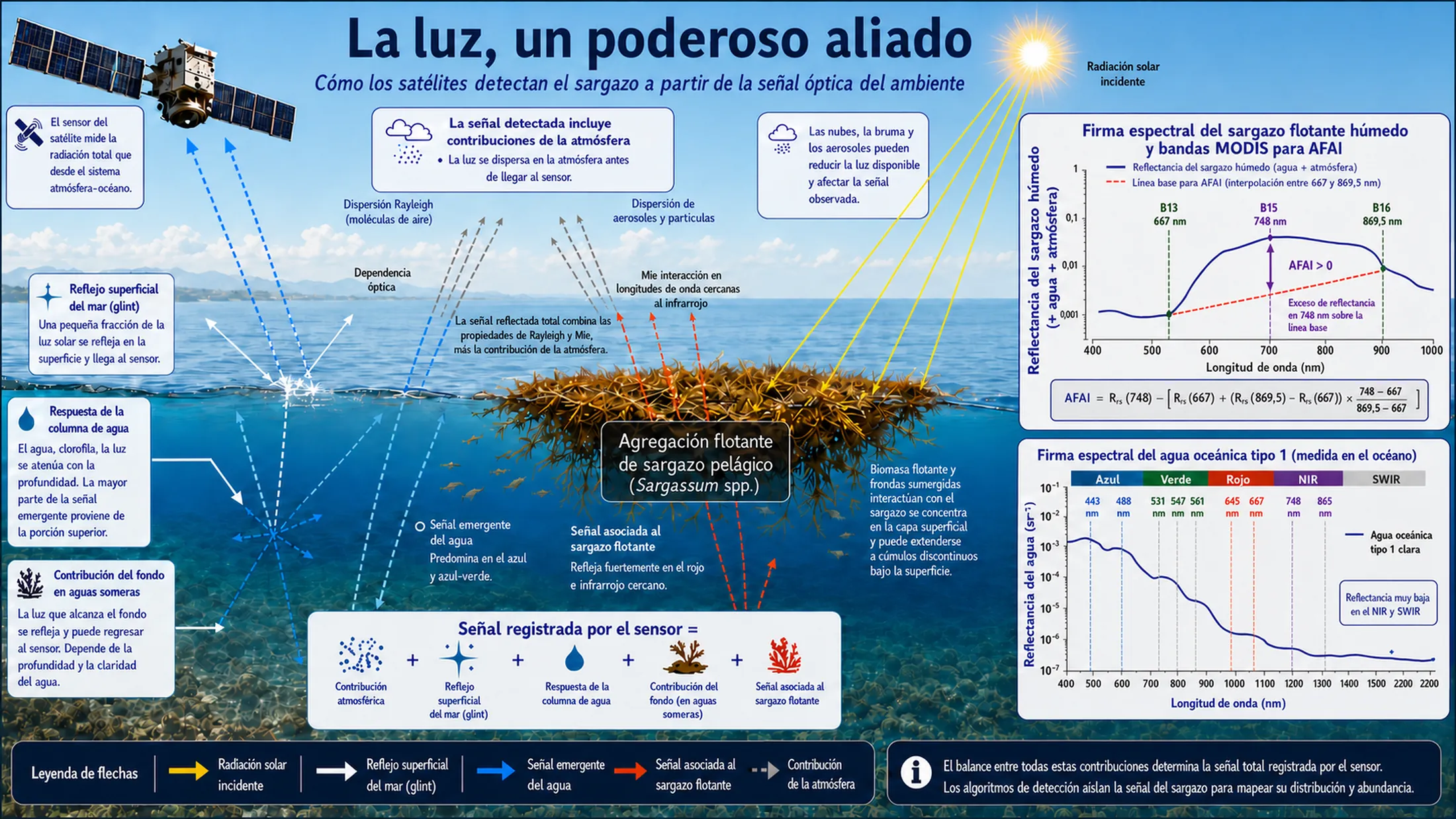 Cómo los satélites detectan el sargazo a partir de la señal